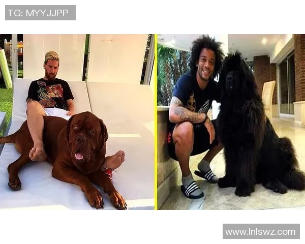 足球明星与他们的宠物们：那些场外的可爱伙伴与温馨故事