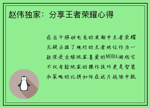 赵伟独家：分享王者荣耀心得