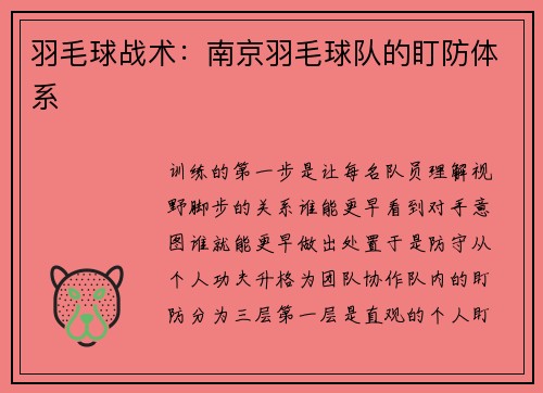 羽毛球战术：南京羽毛球队的盯防体系
